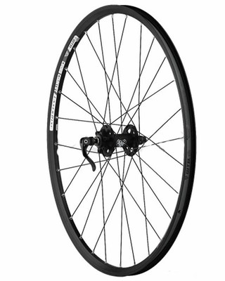 wtb laserdisc trail 29er